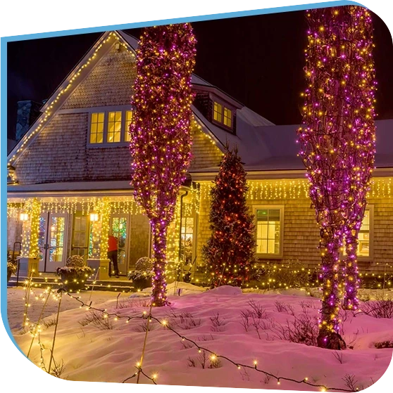 LED Tree and Landscape Lights