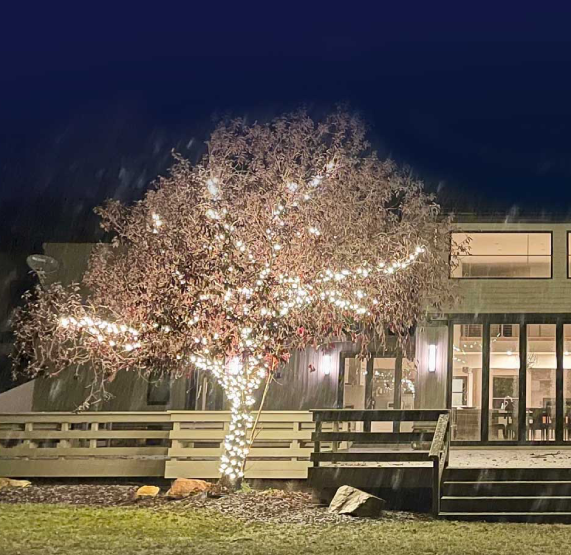 Christmas Light Installation Salt Lake and Summit County