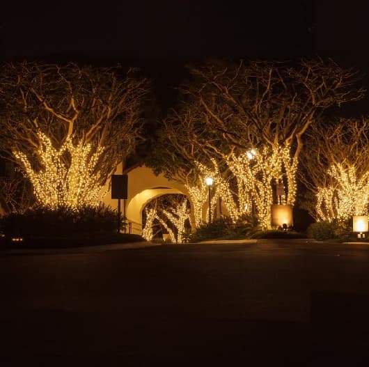 Commercial Christmas Light Installation Austin