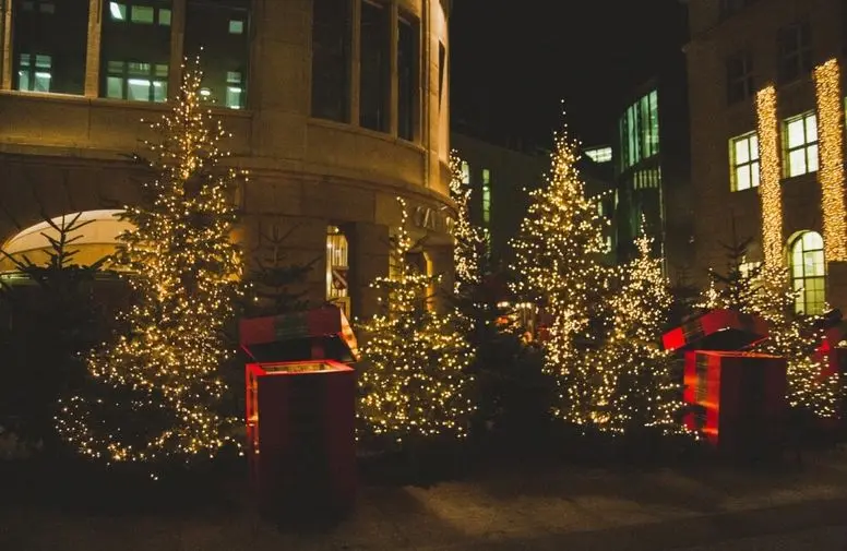 Commercial Christmas Light Installation Austin