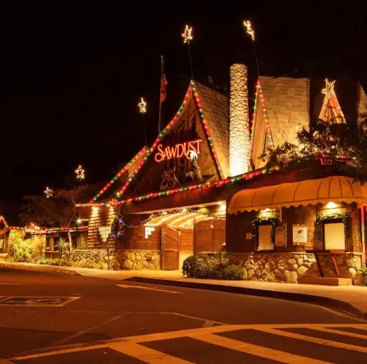 Christmas Light Installation Leander TX