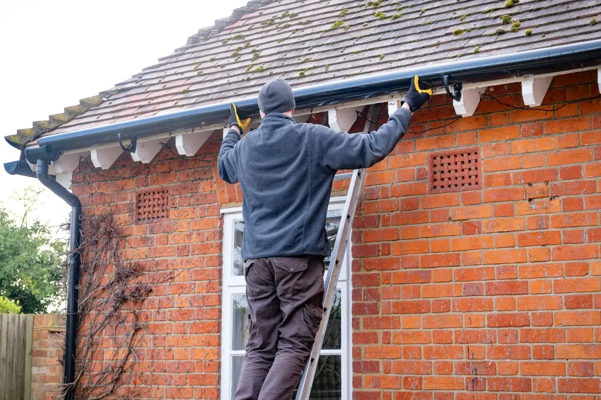 gutter replacement worker on top of ladder replacing gutter shingles roof with moss