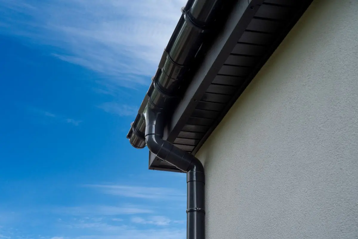 black fascia