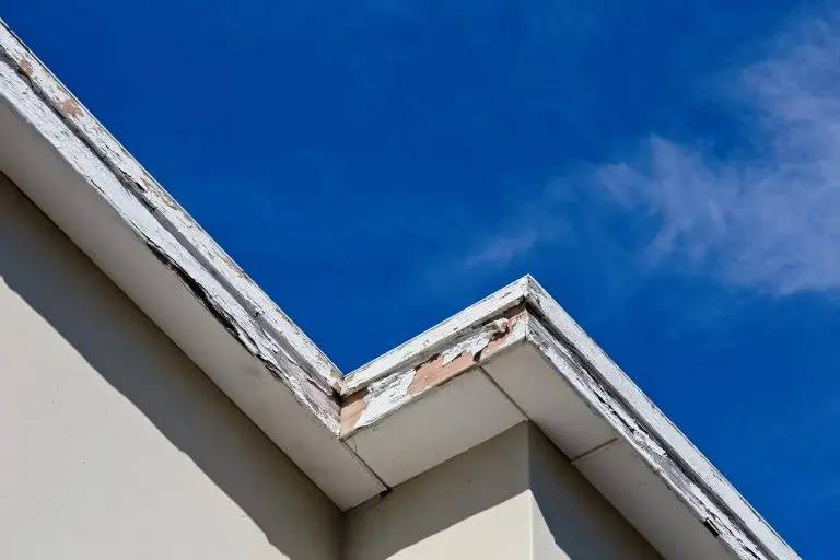 white fascia and soffit repair