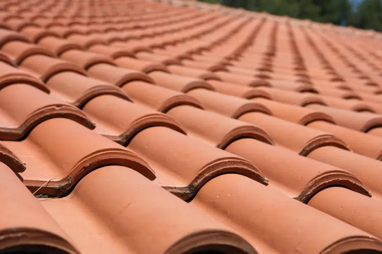 Clay or Tile Roofs