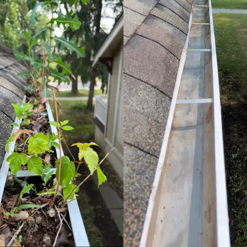 Gutter Cleaning Gutter Cleaning
