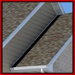 asphalt shingle roof