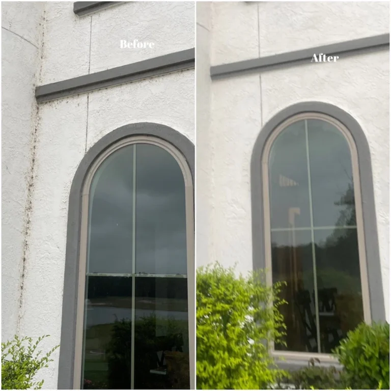 Pressure Washing Sugar Land, TX