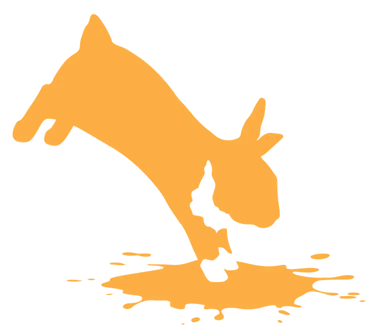 Rabbit_Color_Orange