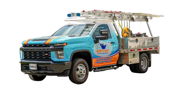 Riptide-Truck