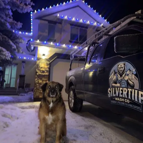 Christmas Light Installation in Calgary, AB