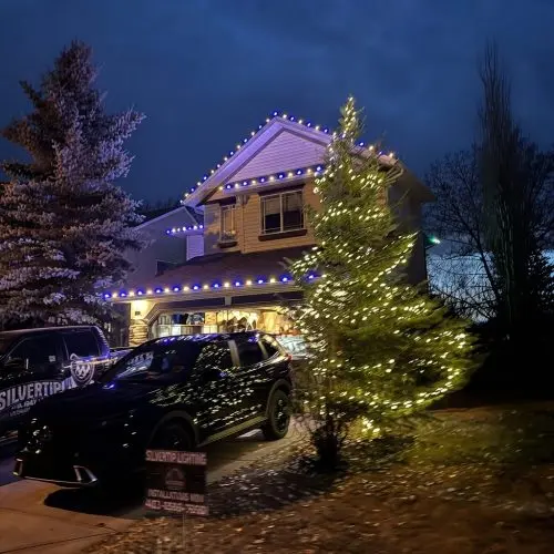 Christmas Light Installation Results in Calgary, AB