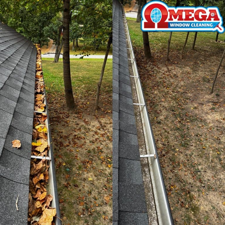 Gutter Cleaning Louisville, KY