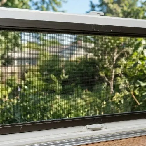 Screen Window