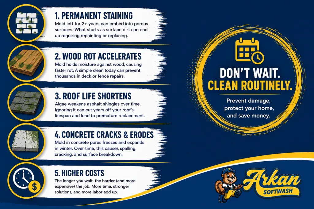 Infographic showing the effects of delayed exterior cleaning, including permanent staining, wood rot, shorter roof life, concrete damage, and higher cleaning costs.