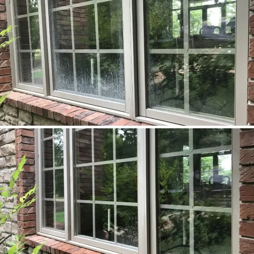 Window Cleaning Springdale (5)