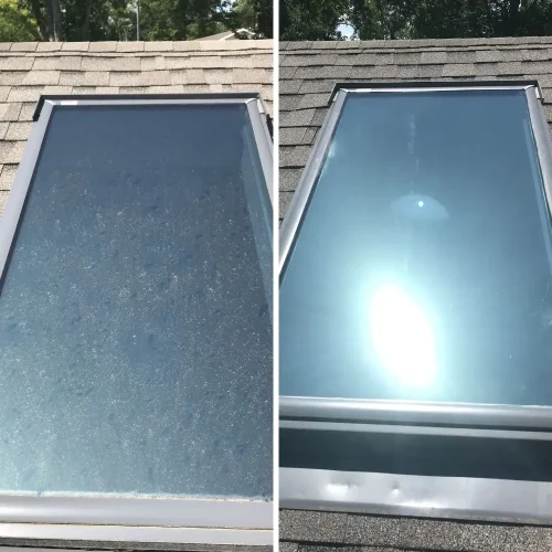 Window Cleaning Springdale (9)
