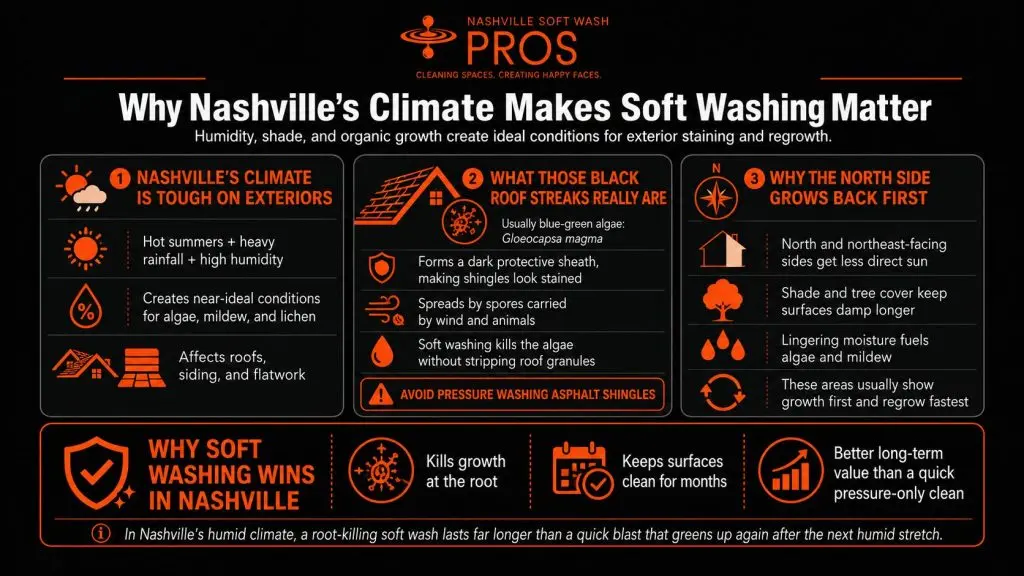 Infographic explaining why Nashville’s humid climate increases algae, mildew, and lichen growth, what black roof streaks are, why the north side of a house grows back first, and why soft washing provides longer-lasting results.