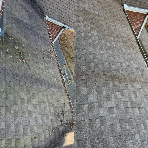 Roof Cleaning Nashville TN