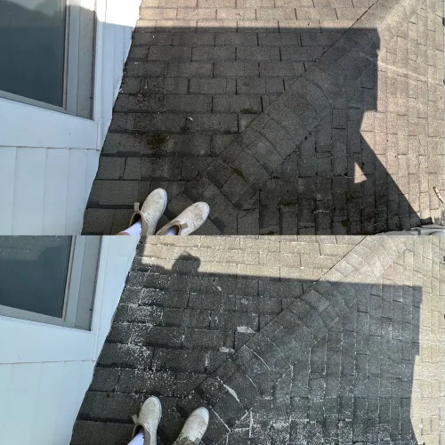 Roof Cleaning Nashville TN