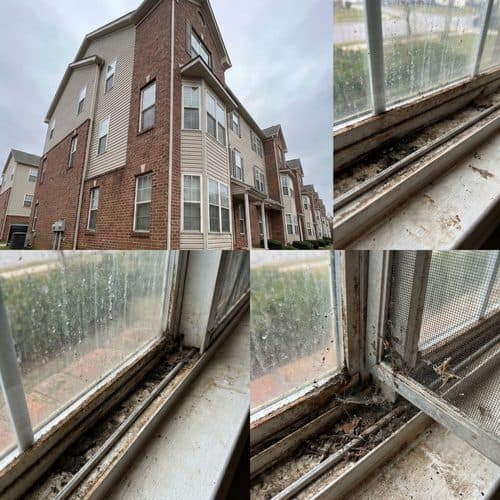 01_multi_unit_window_cleaning