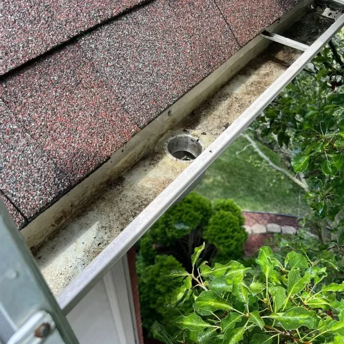 Gutter Cleaning in Cook County, IL