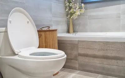 Can You Flush Baby Wipes? 5 Things Never to Flush into a Septic System