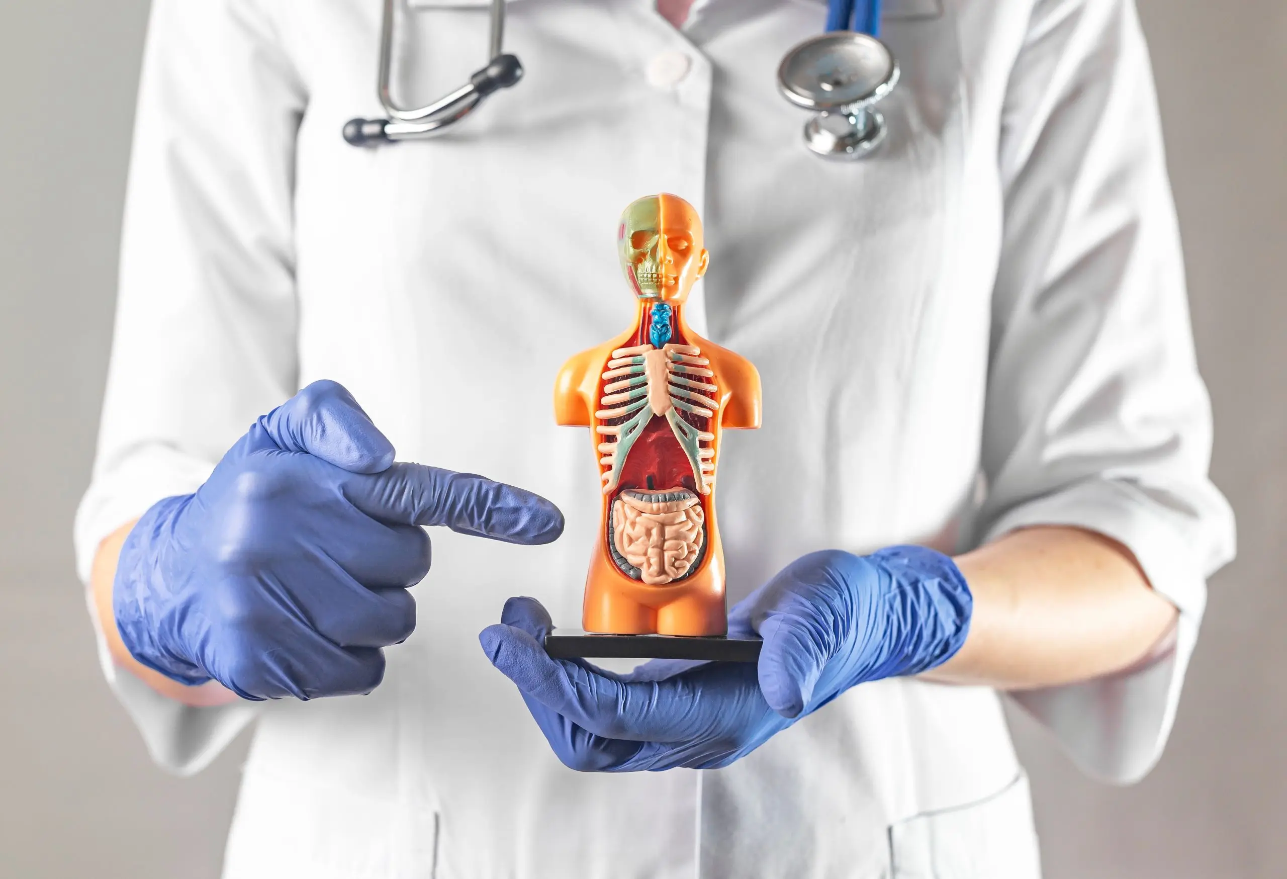 GI and colon surgery banner graphic