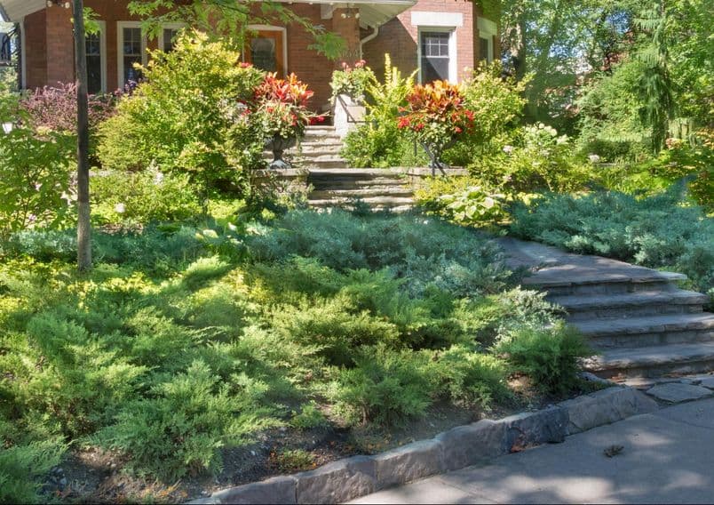 a beautifully landscaped front yard in a neighborhood
