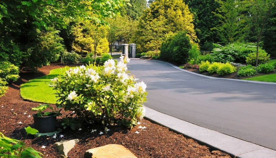 a beautiful driveway and landscaped entrance by a landscape contractor