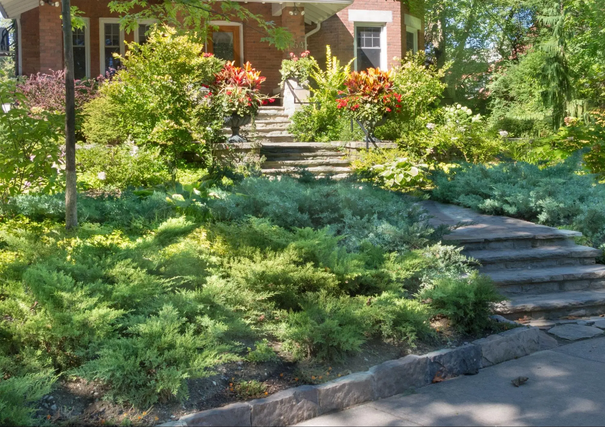 - Search Strategy Marketing a beautifully landscaped front yard in a neighborhood