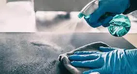 cleaning-services-near-me