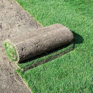 Maryland Certified Sod