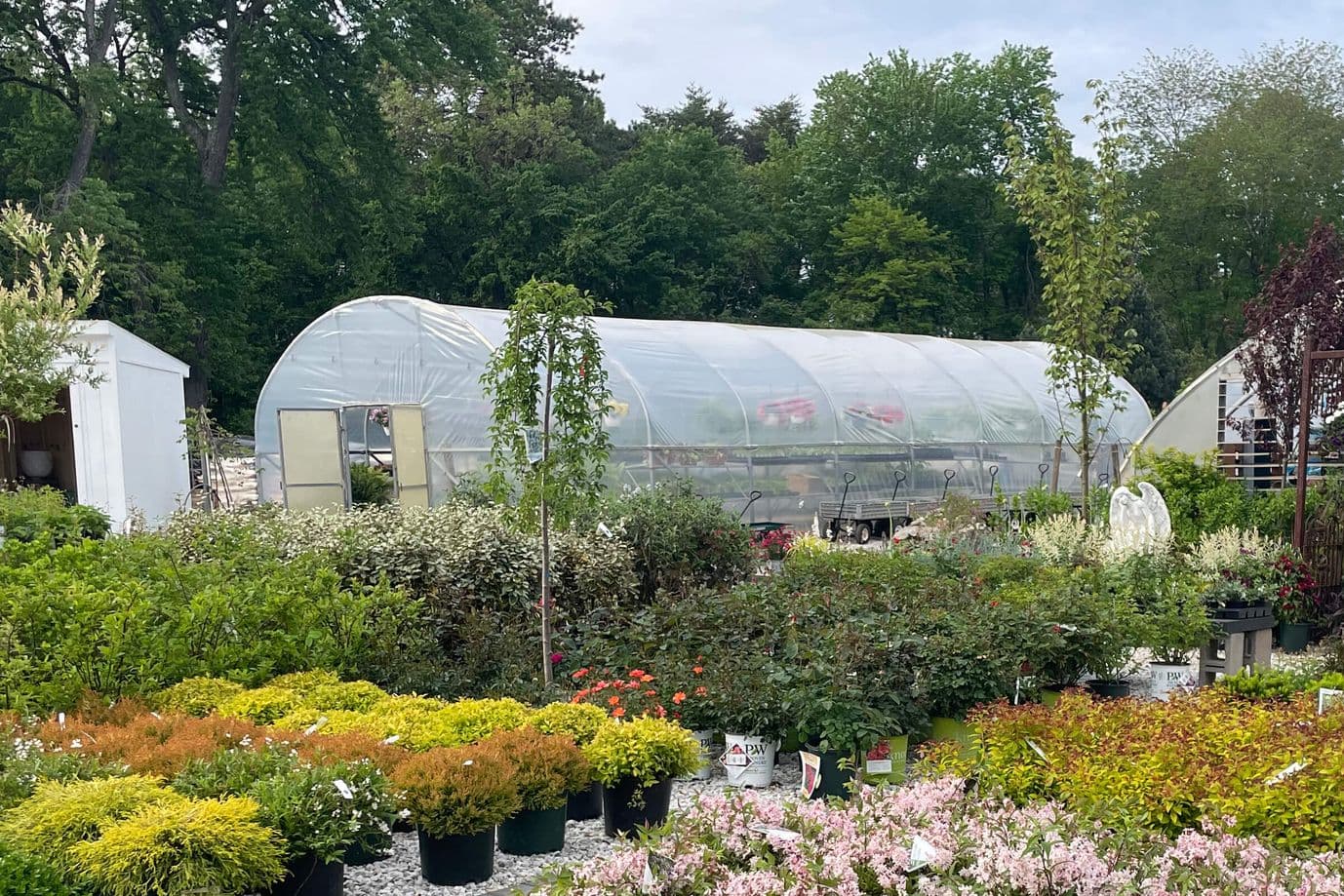 Veggie greenhouse