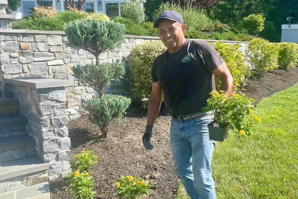 Planting flowers