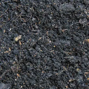Mushroom Compost
