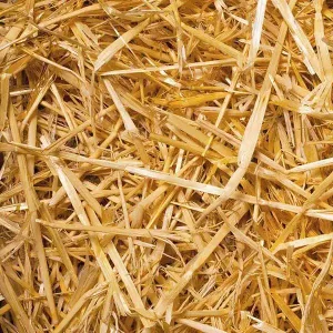 Bulk Straw