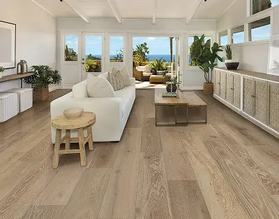 Living room with white walls
