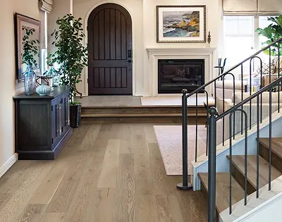 brown door and stairway