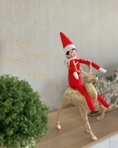 Stratus Legal Group - Elf on a Shelf - Snowflake Day 1