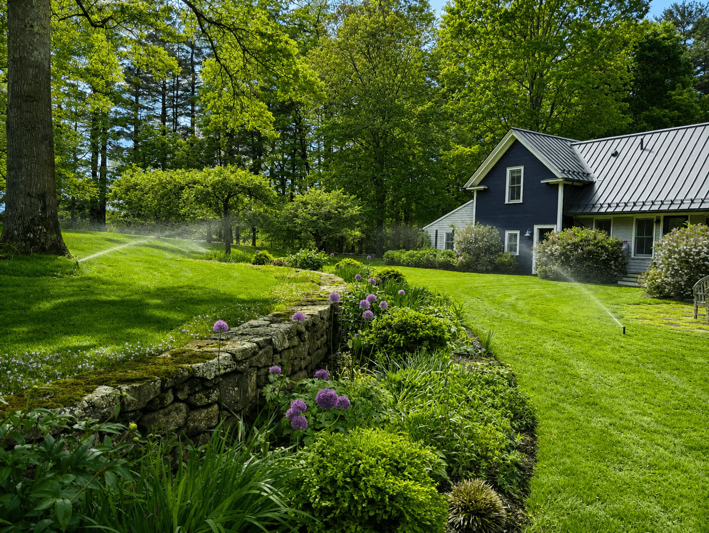 Residential irrigation system watering a green front yard lawn and garden