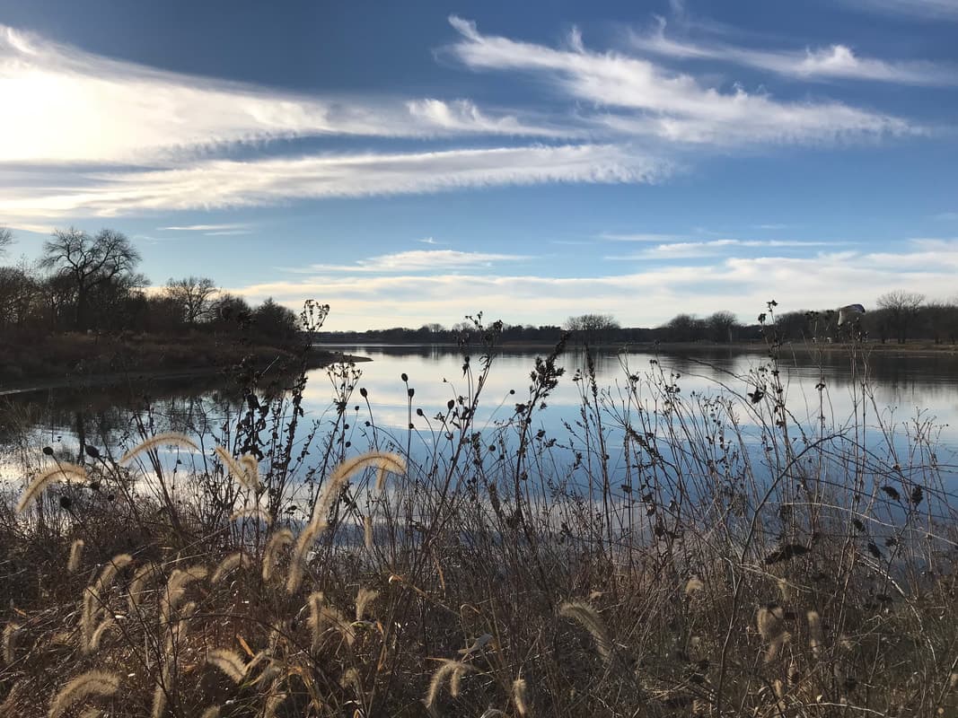Grass in front of a lake under a cloudy blue sky