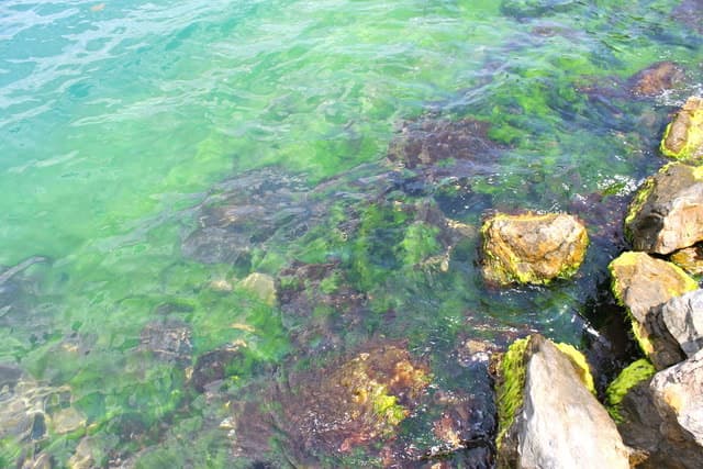 Hydrotherapy: Using Water to Heal by Wellness Minneapolis