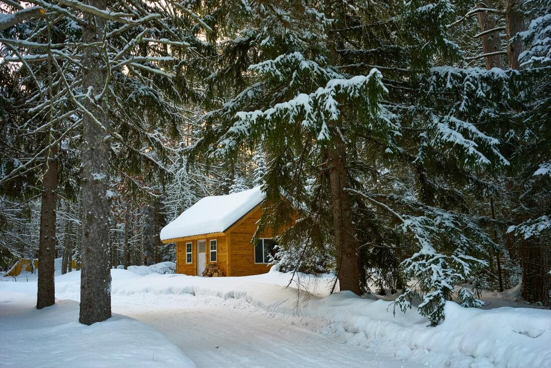 Cultivating Rest in Winter by Wellness Minneapolis
