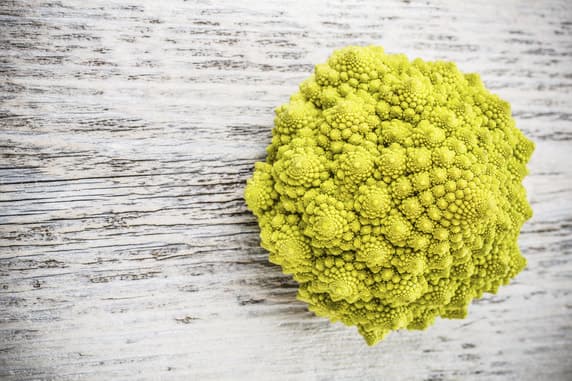 The Importance of Nutrition