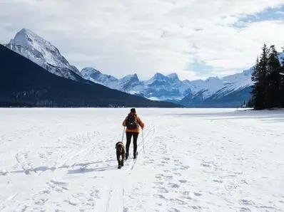 Embracing The Chill: Fall And Winter Tips by Wellness Minneapolis
