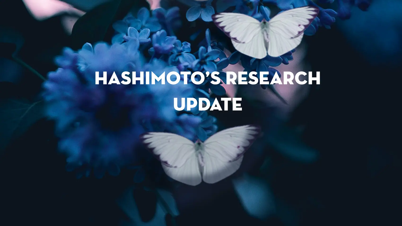 Hashimoto's Research Update