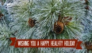 Holiday Survival Guide