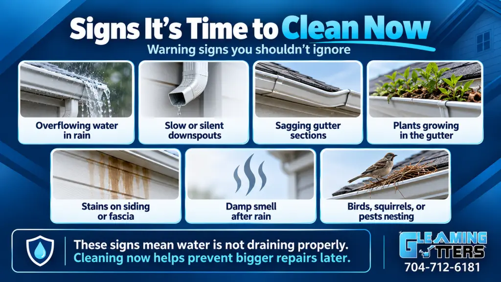Signs gutters need cleaning including overflowing water, slow downspouts, sagging gutters, plants, staining, damp odors, and nesting pests.