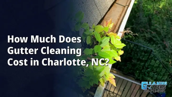 How Much Does Gutter Cleaning Cost in Charlotte, NC?